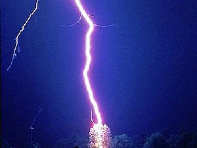 promesa a santa maria