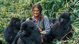 Timeline: Dian Fossey