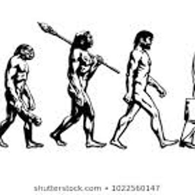 Timeline: My evolution