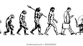 Timeline: My evolution