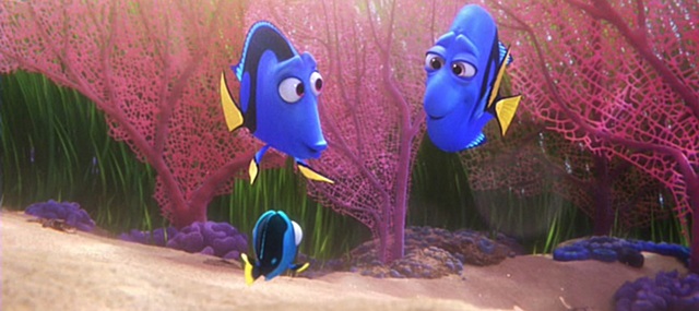 Dory perde i suoi genitori