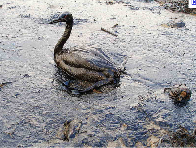 Oil spill