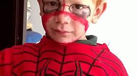 Timeline: Los 7 años de Mirko