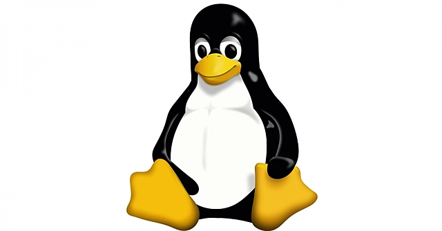 Nasce Linux sistema operativo free