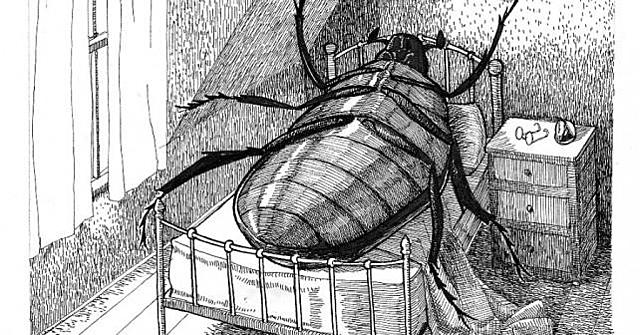 Narradores renovadores