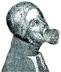 EDAD MEDIA: PROSA MEDIEVAL, DON JUAN MANUEL