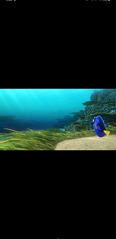 Dory comincia a cercare i suoi genitori
