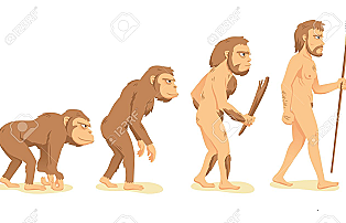 Características del cerebro homínidos