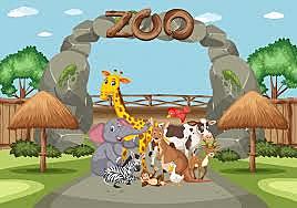 VISITA AL ZOOLOGICO