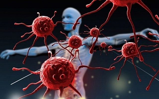 VIRUS VS SISTEMA INMUNOLOGICO