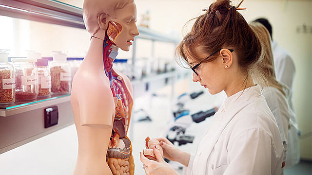 Mis estudios Universitarios