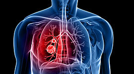 Timeline: EL CORONAVIRUS EN EL CUERPO HUMANO