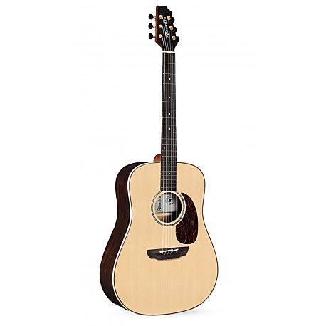 The Modern Acoustic Guitar