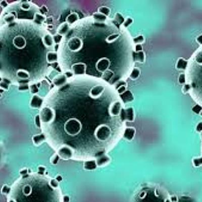 Timeline: LINEA DEL TIEMPO(CORONAVIRUS)