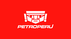 Mi trabajo Profesional