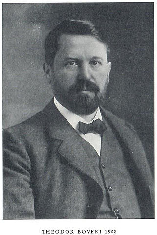 Theodor Boveri's mechanisms of heredity