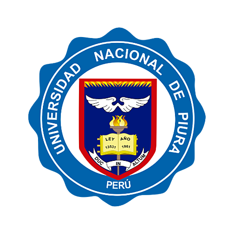 Mis estudios universitarios