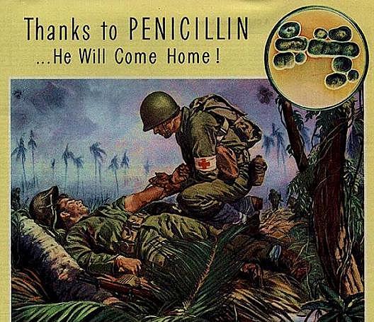 Penicillin Purified