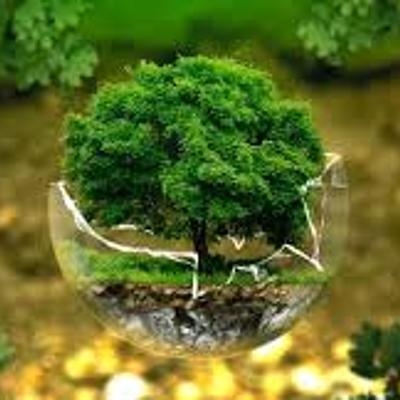 Timeline: SUCESOS Y CONFERENCIAS RELACIONADOS CON LA CONCIENCIA ECOLÓGICA