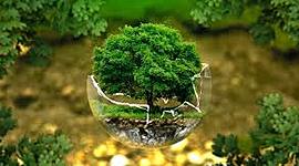 Timeline: SUCESOS Y CONFERENCIAS RELACIONADOS CON LA CONCIENCIA ECOLÓGICA