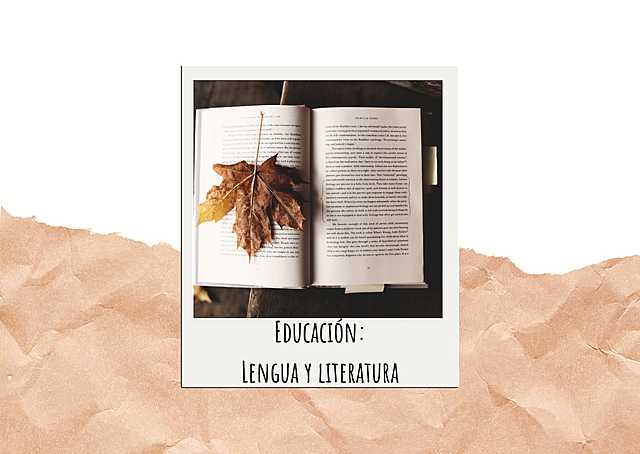 Inicio de mi carrera