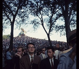 1968 DNC Protests