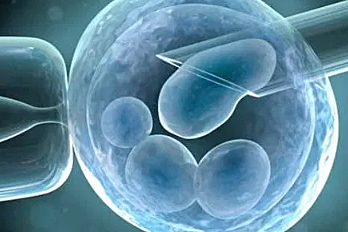 Reprogramación celular.