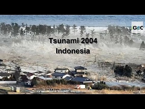 Tsunami 2004
