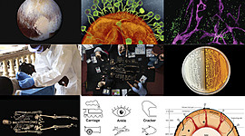 Timeline: 10 Descubrimientos Químicos