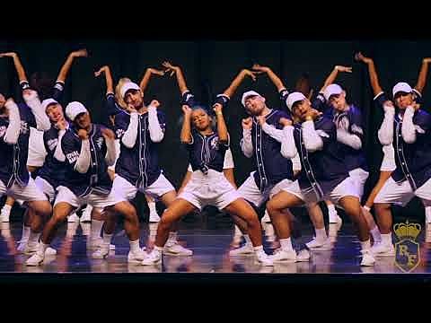 Mi trabajo profesional