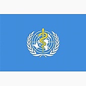 Siglo XX: Nacimiento de la OMS