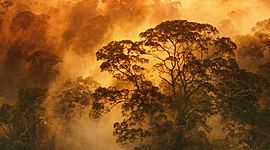 Timeline: Cosa succederebbe se...