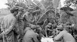 Timeline: The 20th Century--Period 7