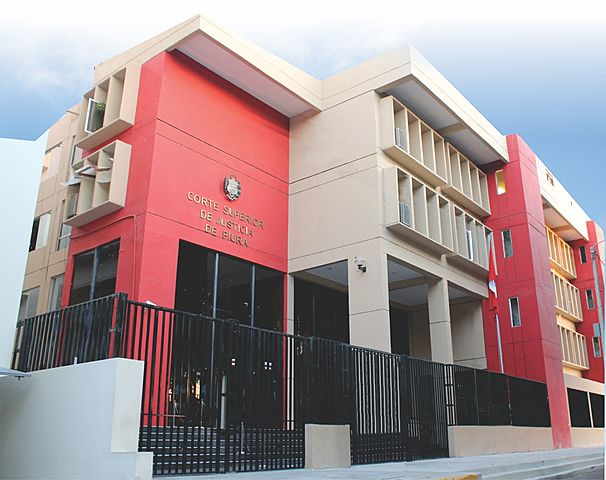 Mi trabajo profesional