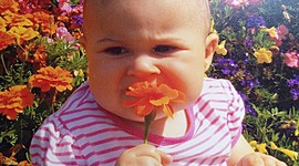 Timeline: Nik 6 hilabeteekin lore bat jaten.