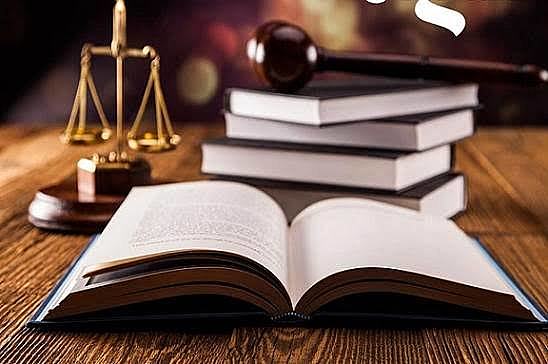 ingreso a la universidad