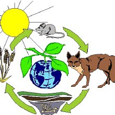 Timeline: Importancia de la Función de Nutrición