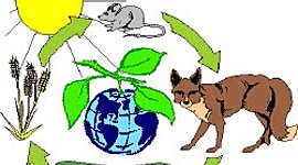 Timeline: Importancia de la Función de Nutrición