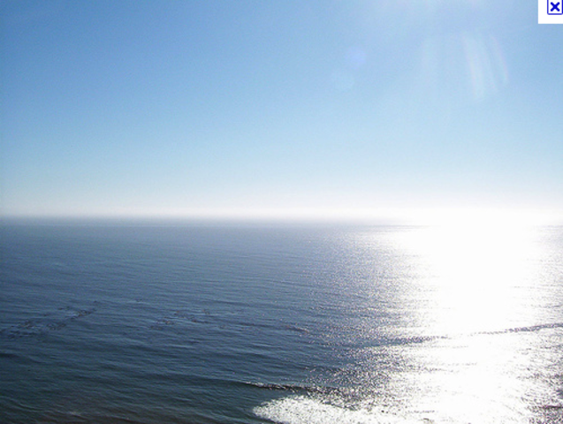 Osama Bin Ladens Death.