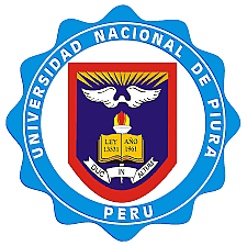 Mis estudios en la universidad