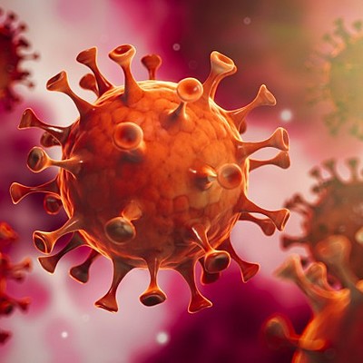 Timeline: coronavirus