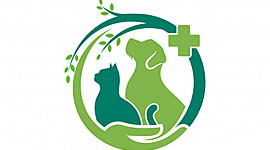 Timeline: desarrollo laboral