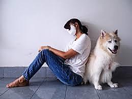 infección entre animales y humanos