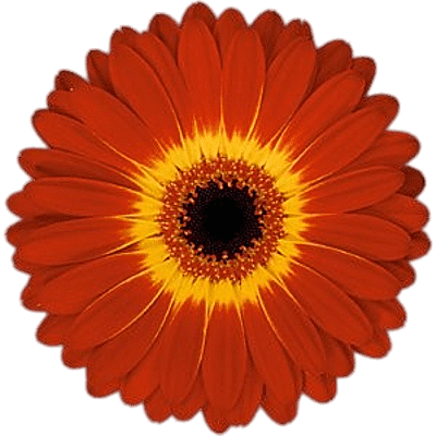 Los Tratados Comerciales en la Logística de la Importación y Exportación.