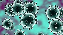 Timeline: Historia corona-virus (covid-19)