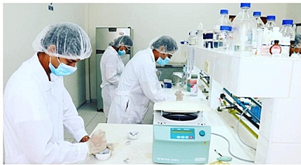 PRACTICAS PRE PROFIONALES