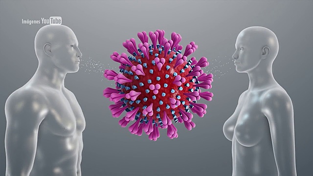 ¿Qué sucede cuando el coronavirus entra al cuerpo?