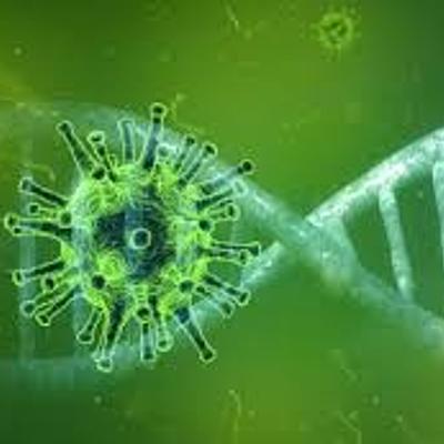 Timeline: Coronavirus (covid-19)