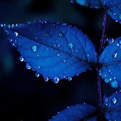 Timeline: Historia - EJE 4