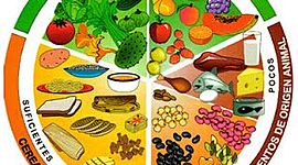 Timeline: Alimentación adecuada